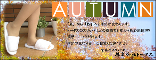 使い捨てスリッパのトータス